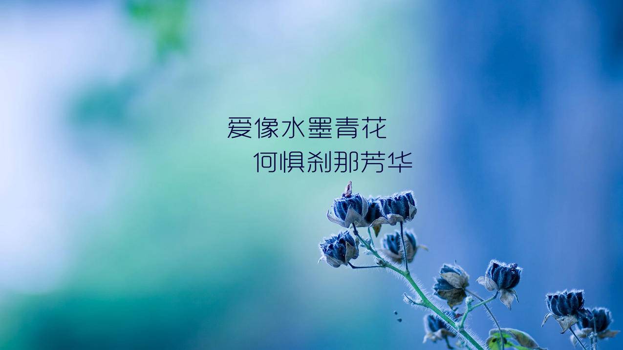 客服主管王小华